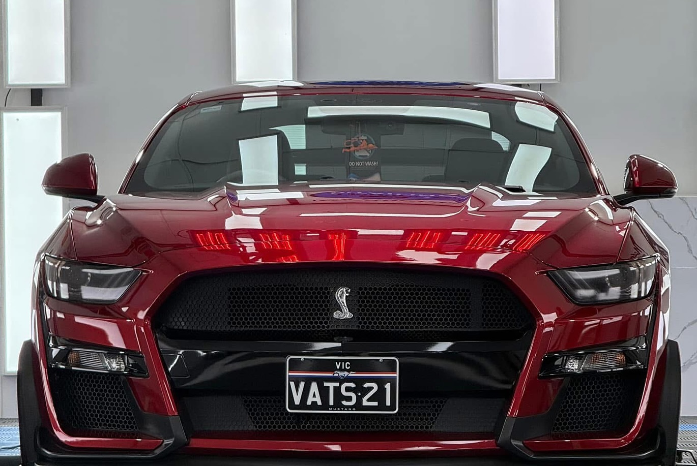 Shelby GT500 detailed by Timmys Detailing Melbourne